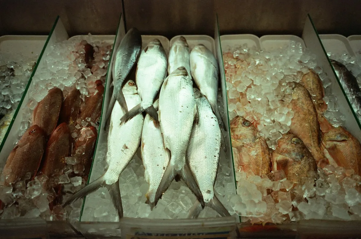 Perishable Cargo (Frozen & Fresh Food)